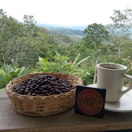 Hotel Green Mountain Turrialba Esterno foto