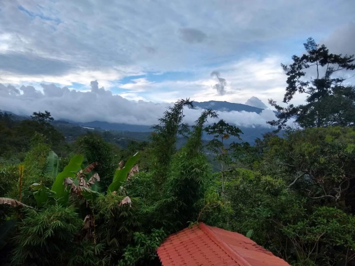 Hotel Green Mountain Turrialba Esterno foto