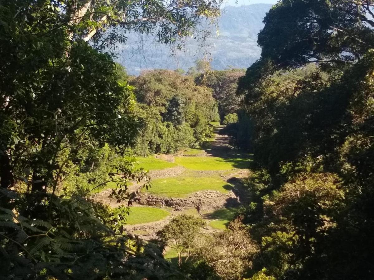 Hotel Green Mountain Turrialba Esterno foto
