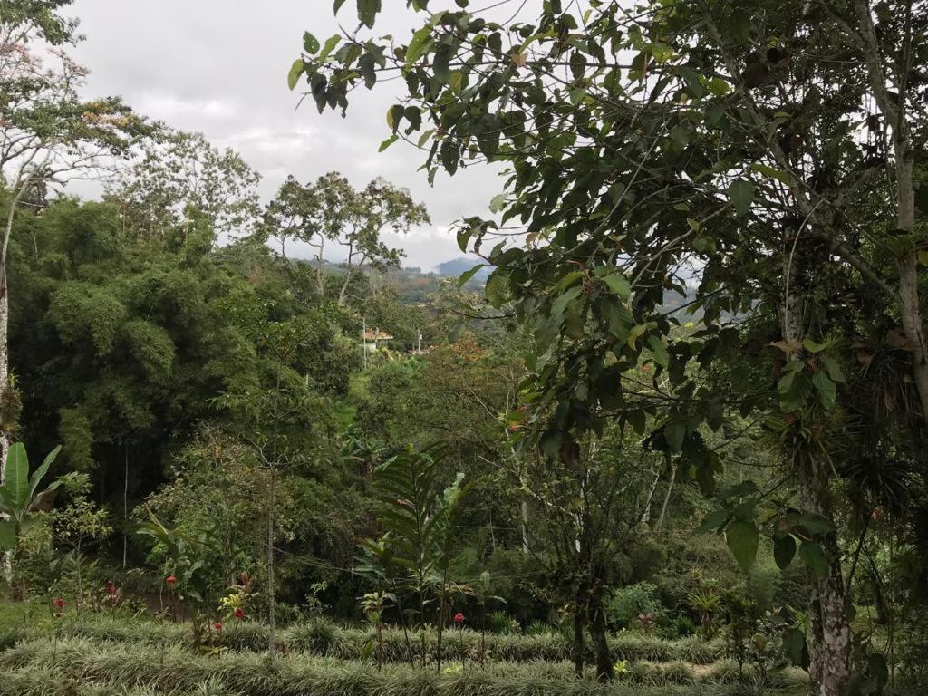 Hotel Green Mountain Turrialba Esterno foto