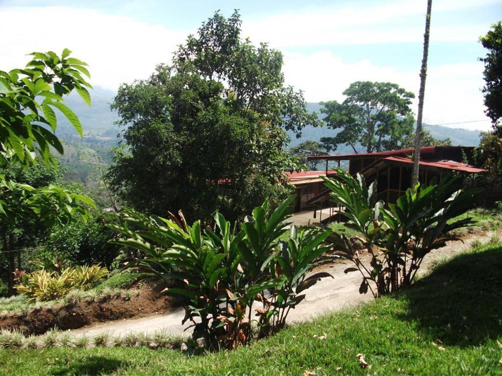 Hotel Green Mountain Turrialba Esterno foto