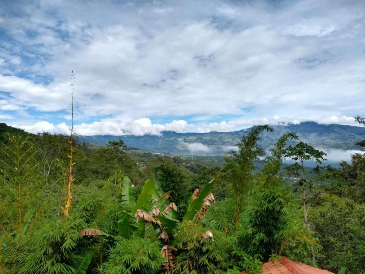 Hotel Green Mountain Turrialba Esterno foto