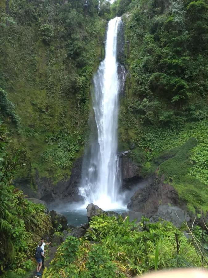 Hotel Green Mountain Turrialba Esterno foto
