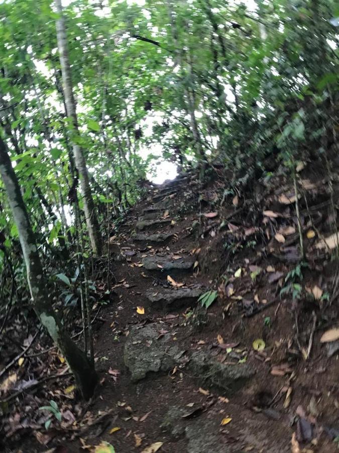 Hotel Green Mountain Turrialba Esterno foto
