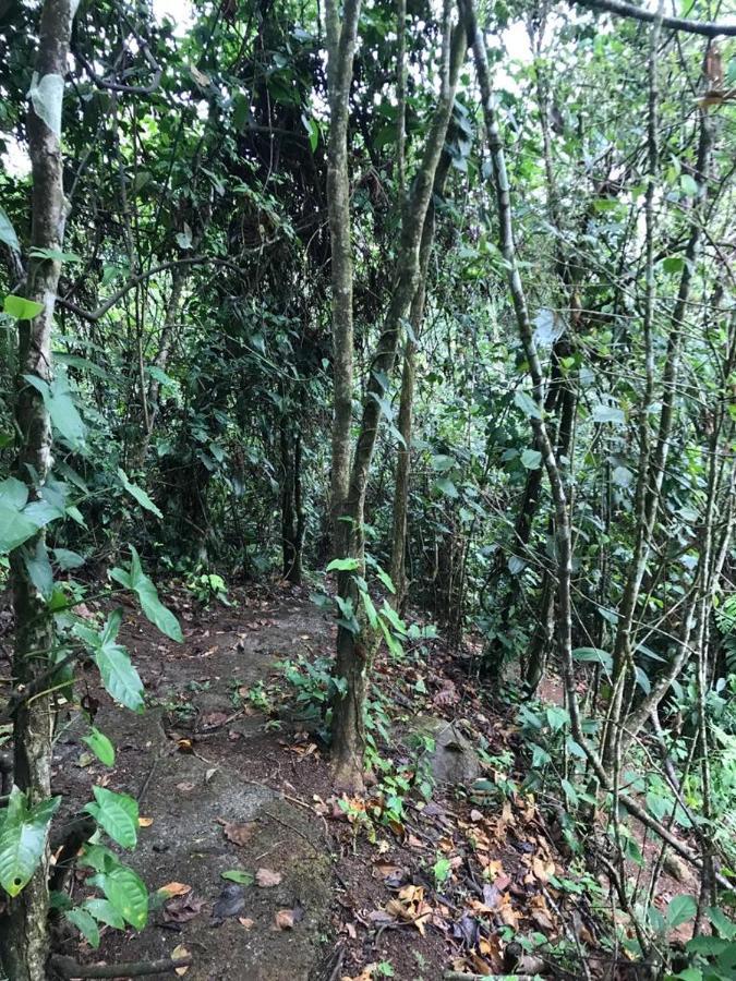 Hotel Green Mountain Turrialba Esterno foto