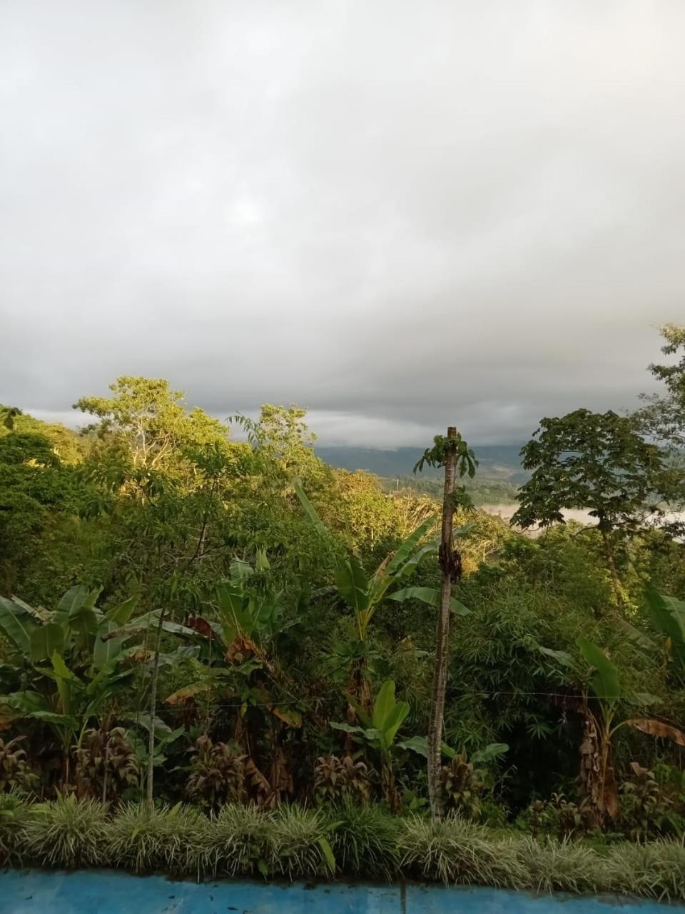 Hotel Green Mountain Turrialba Esterno foto