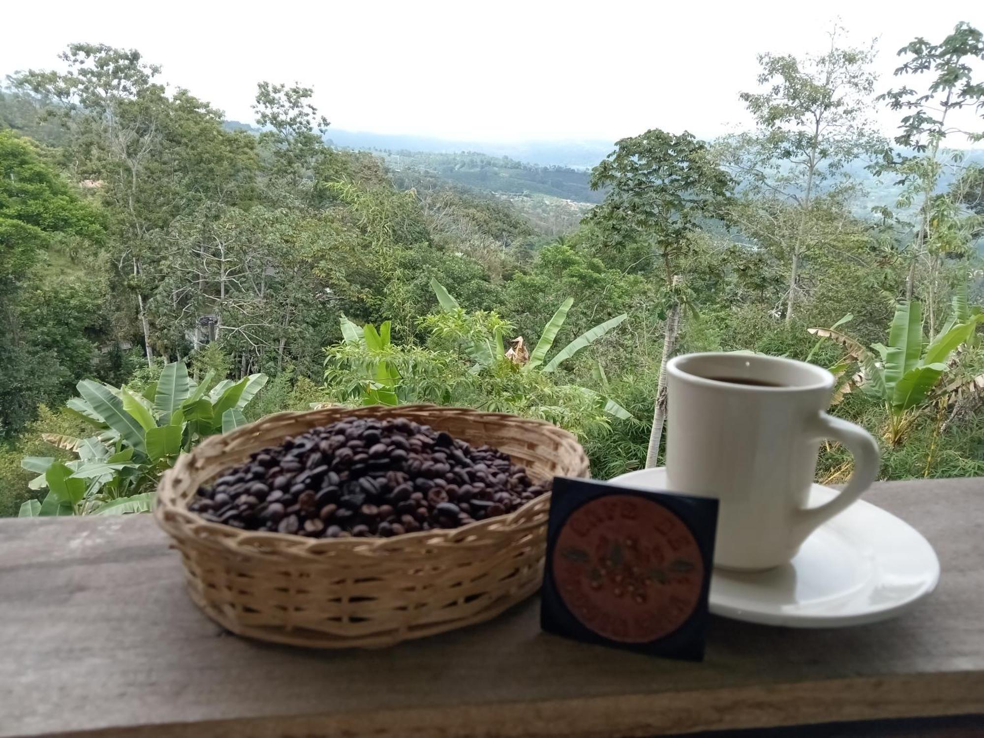 Hotel Green Mountain Turrialba Esterno foto