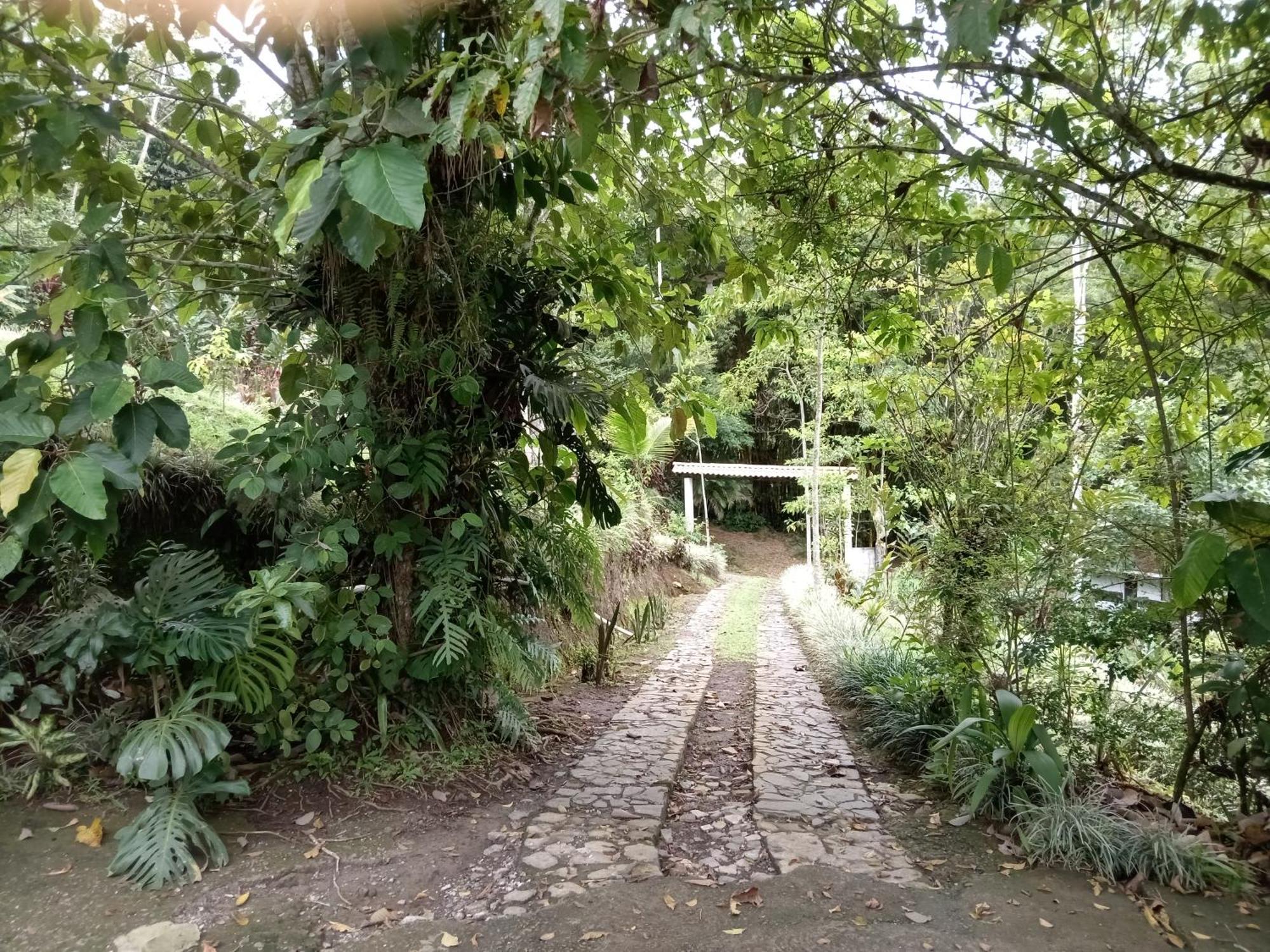 Hotel Green Mountain Turrialba Esterno foto