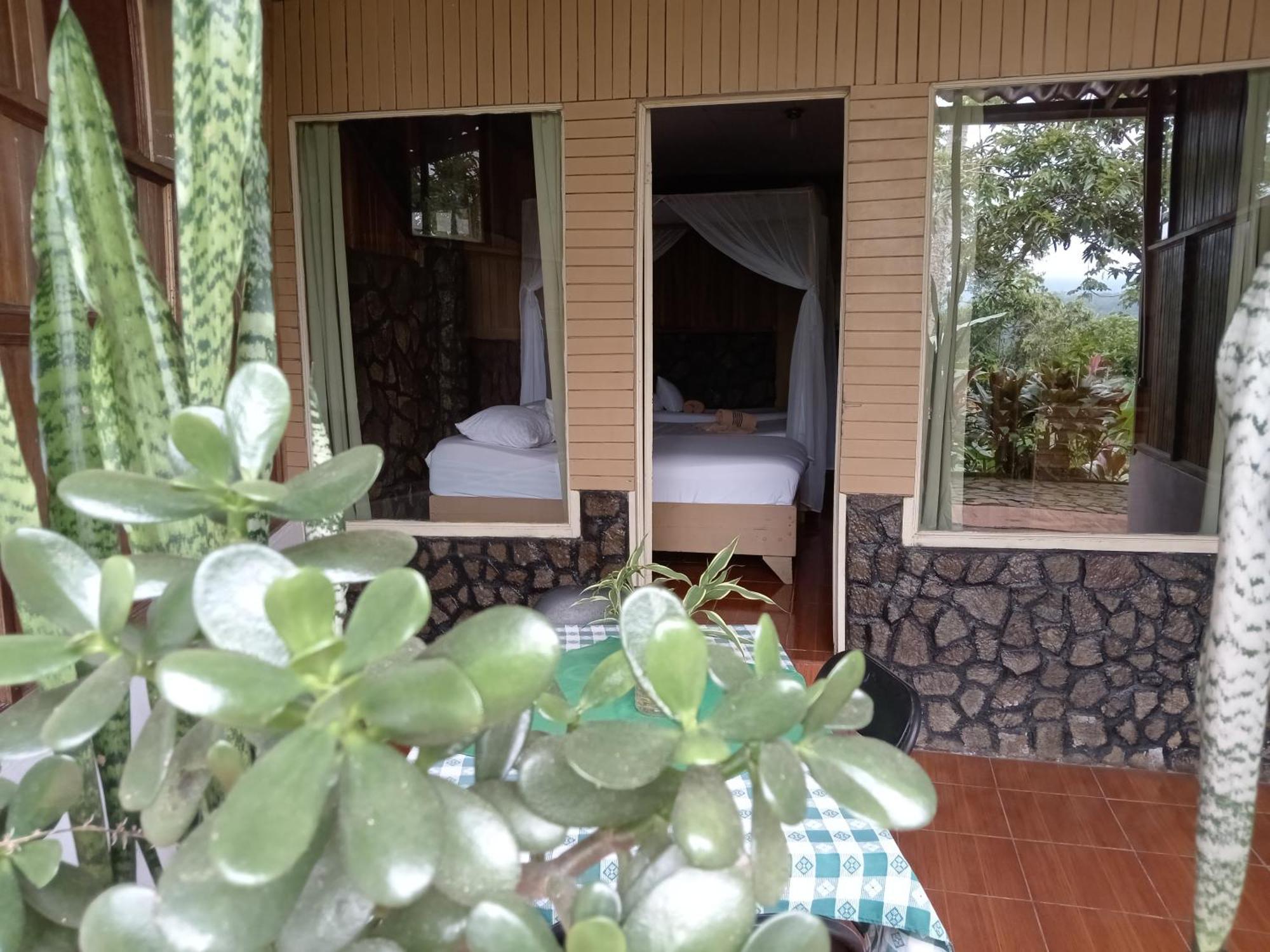 Hotel Green Mountain Turrialba Esterno foto
