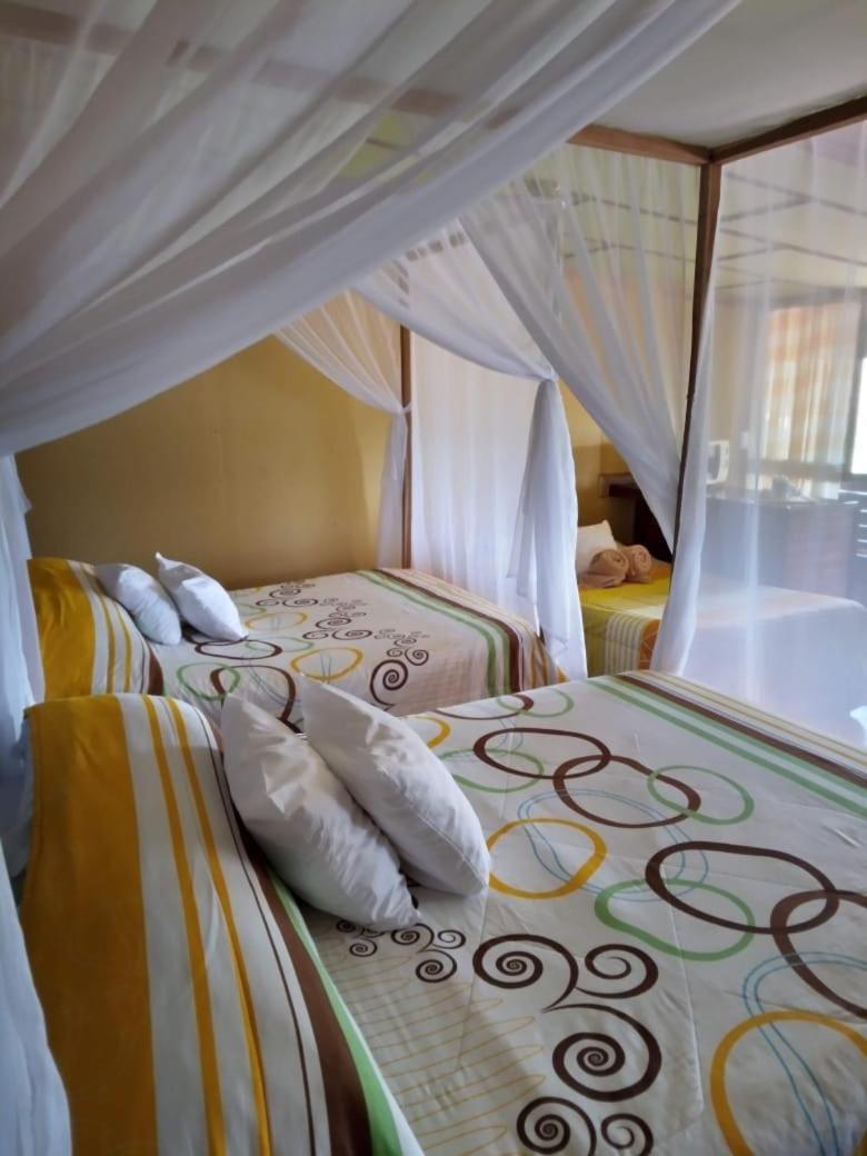 Hotel Green Mountain Turrialba Esterno foto