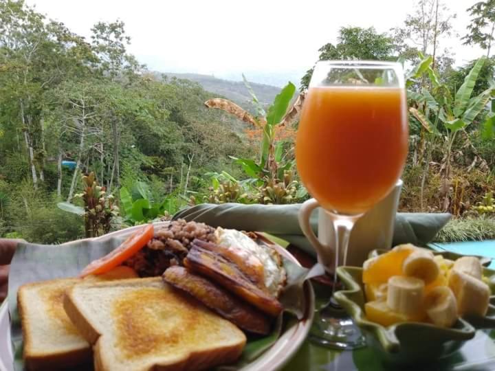 Hotel Green Mountain Turrialba Esterno foto
