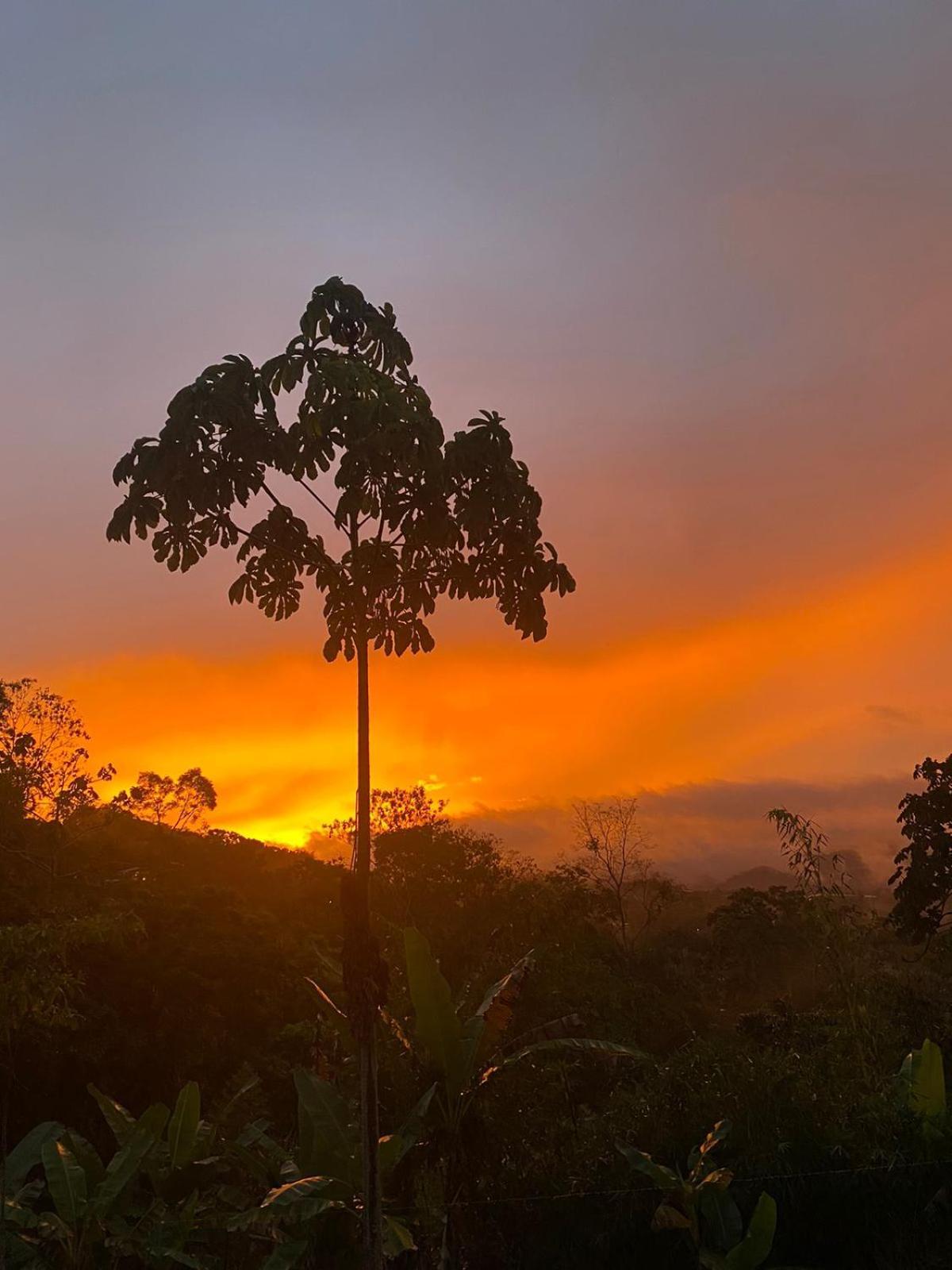 Hotel Green Mountain Turrialba Esterno foto