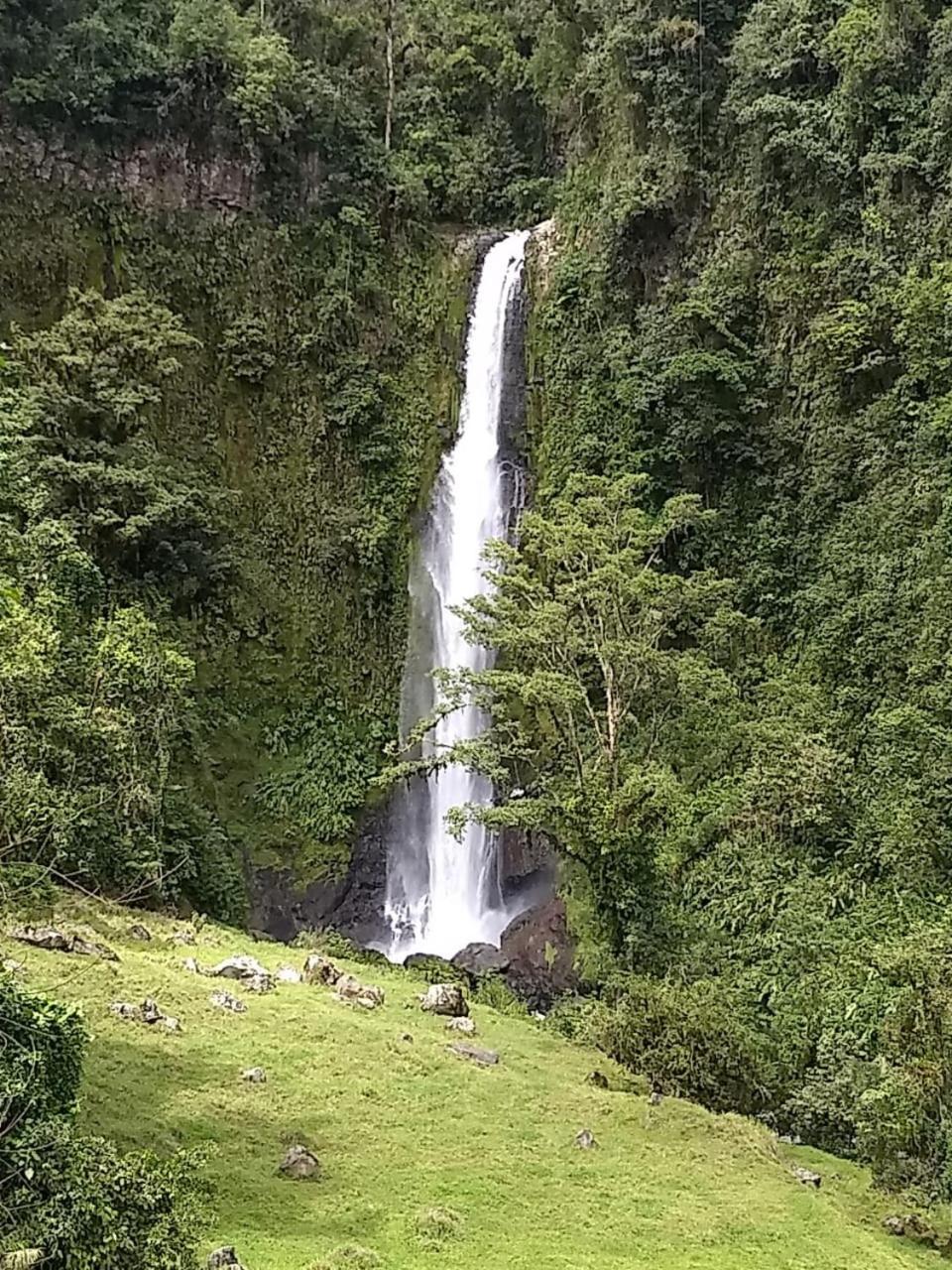 Hotel Green Mountain Turrialba Esterno foto